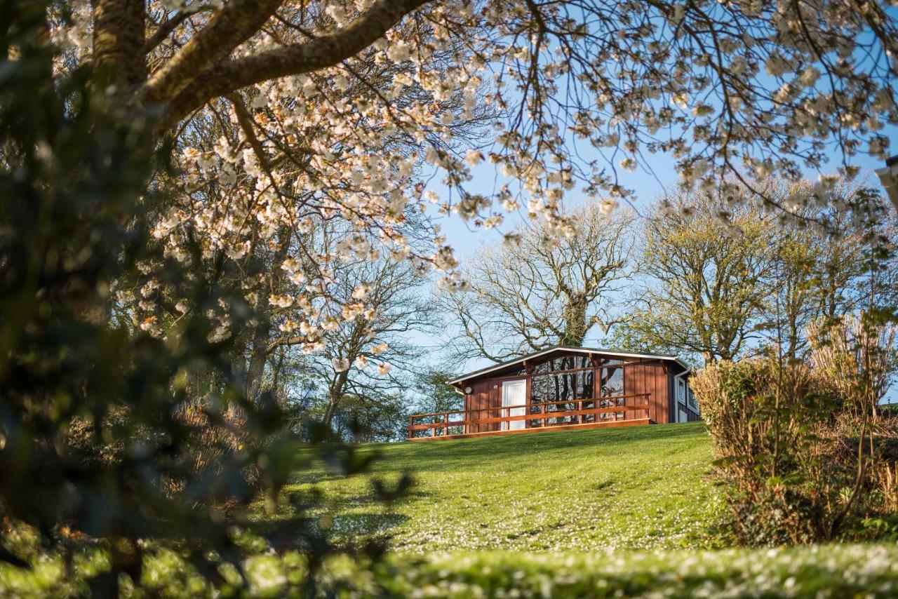 Timber Hill Self Catering Cedar Lodges * Broad Haven